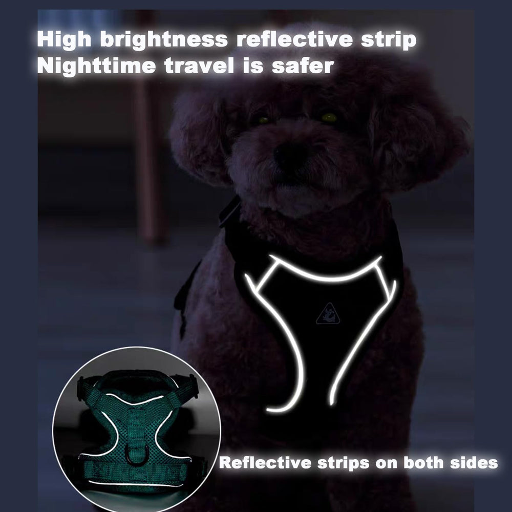 Arnés SOLMOONY para paseos nocturnos con reflectante y uso diario.