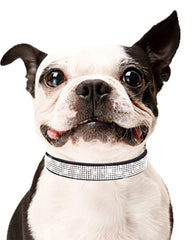 Collar SOLMOONY con brillo tipo diamante para paseos elegantes