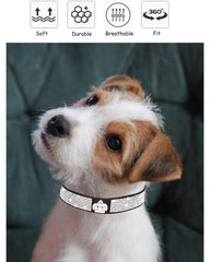 SOLMOONY collar con 5 ojales, ajuste seguro para crecimiento