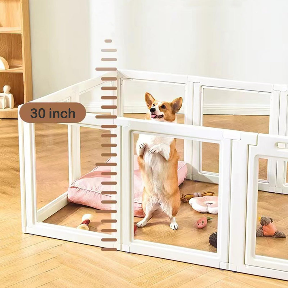 SOLOWINNER base con ventosas para fijar al suelo y evitar movimientos del perro.