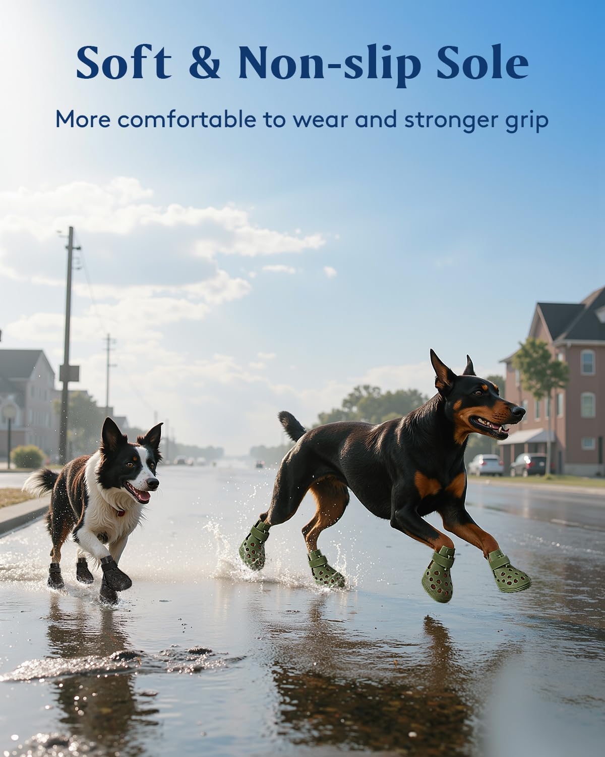 Uso interior y exterior con protección para las patas de SOLOWINNER.