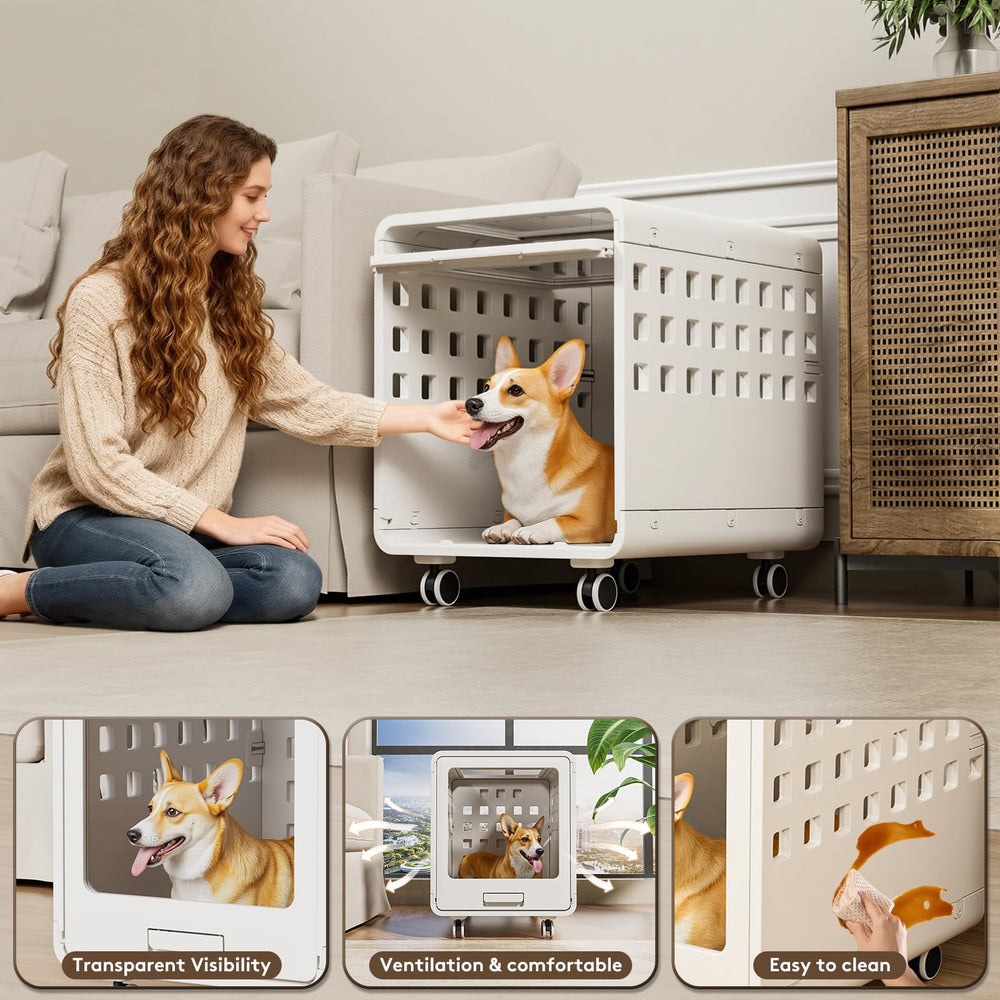 Solowinner jaula acrílica para perros, tamaño adecuado para razas pequeñas y medianas.