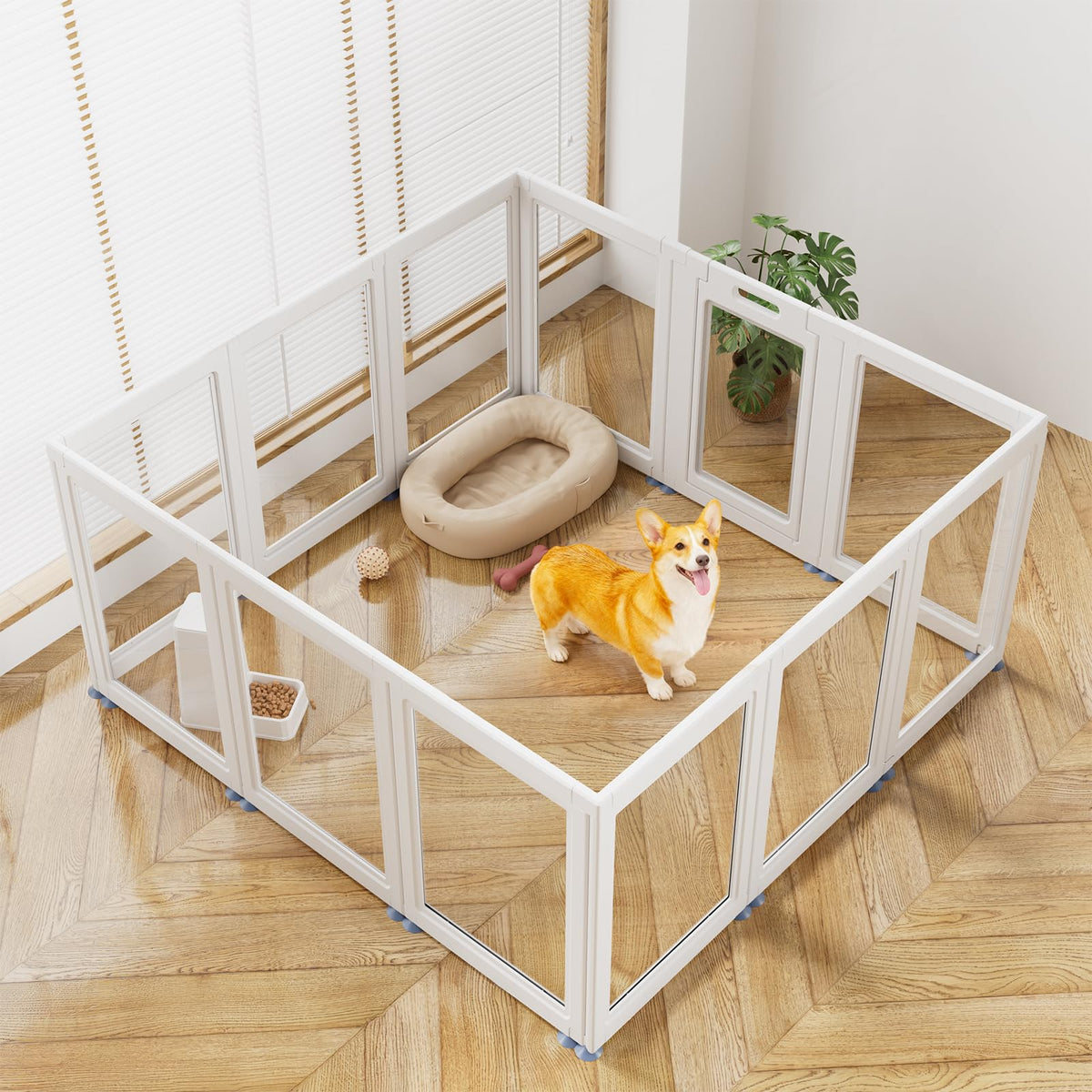 SOLOWINNER corral perros acrílico transparente para observar a tu mascota durante el juego