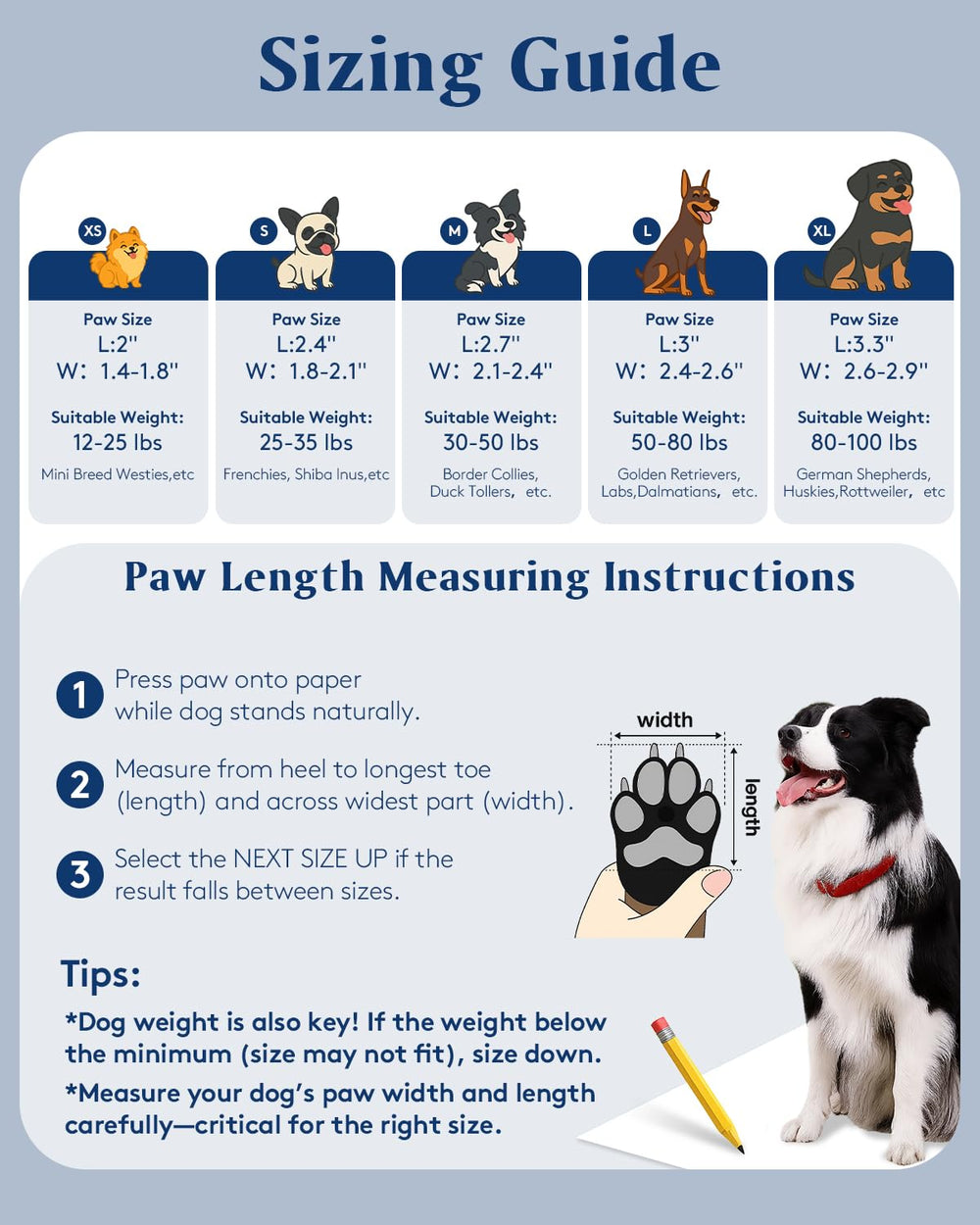 SOLOWINNER zapatos para perros con ajuste por correas para seguridad.