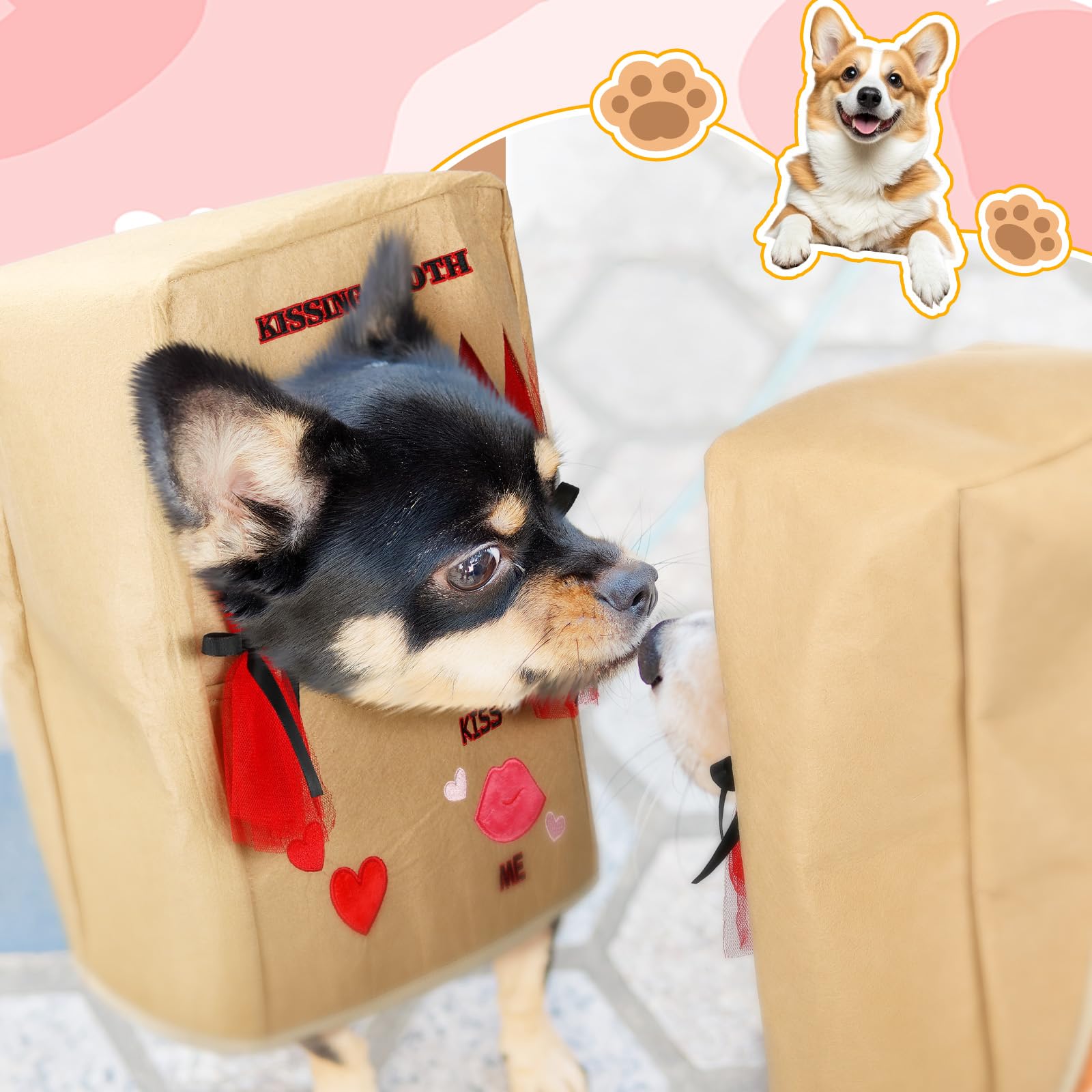 Solsew accesorio festivo para mascotas, realza celebraciones en casa