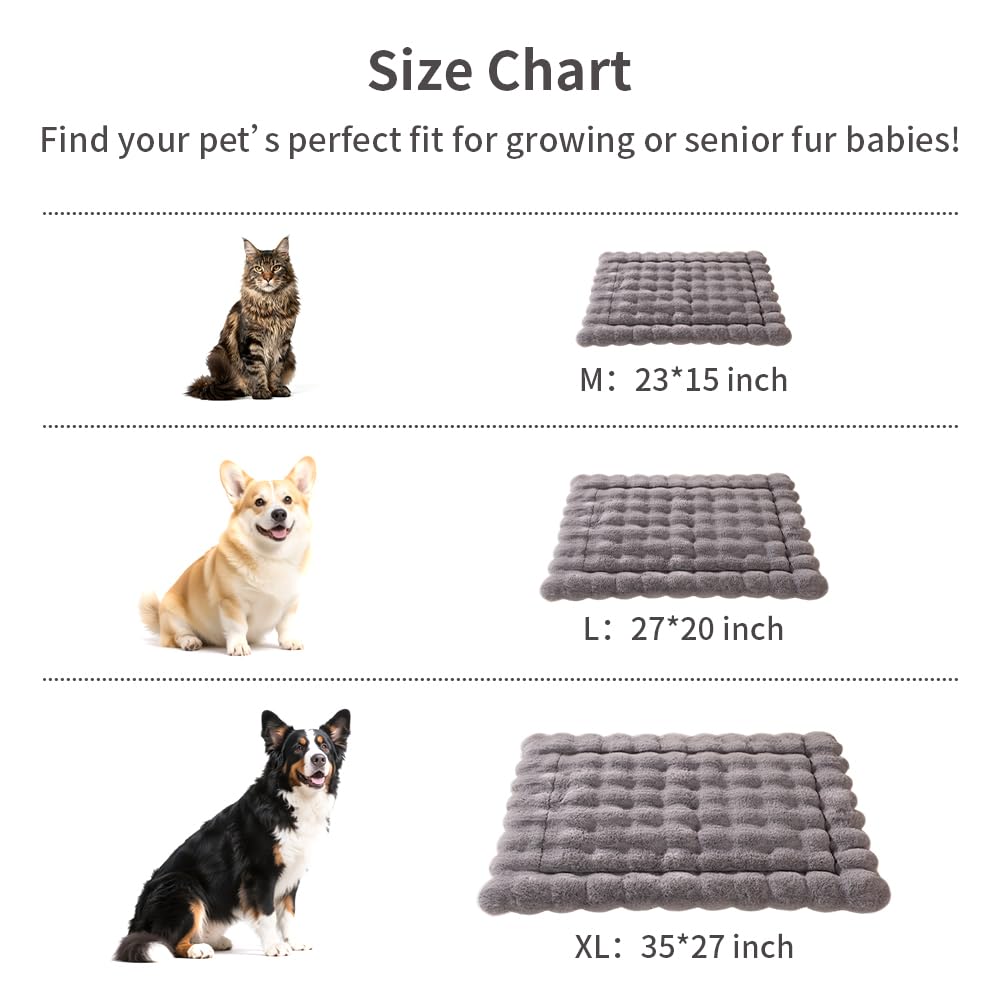 SOMAHE diseño versátil para gatos y perros medianos.