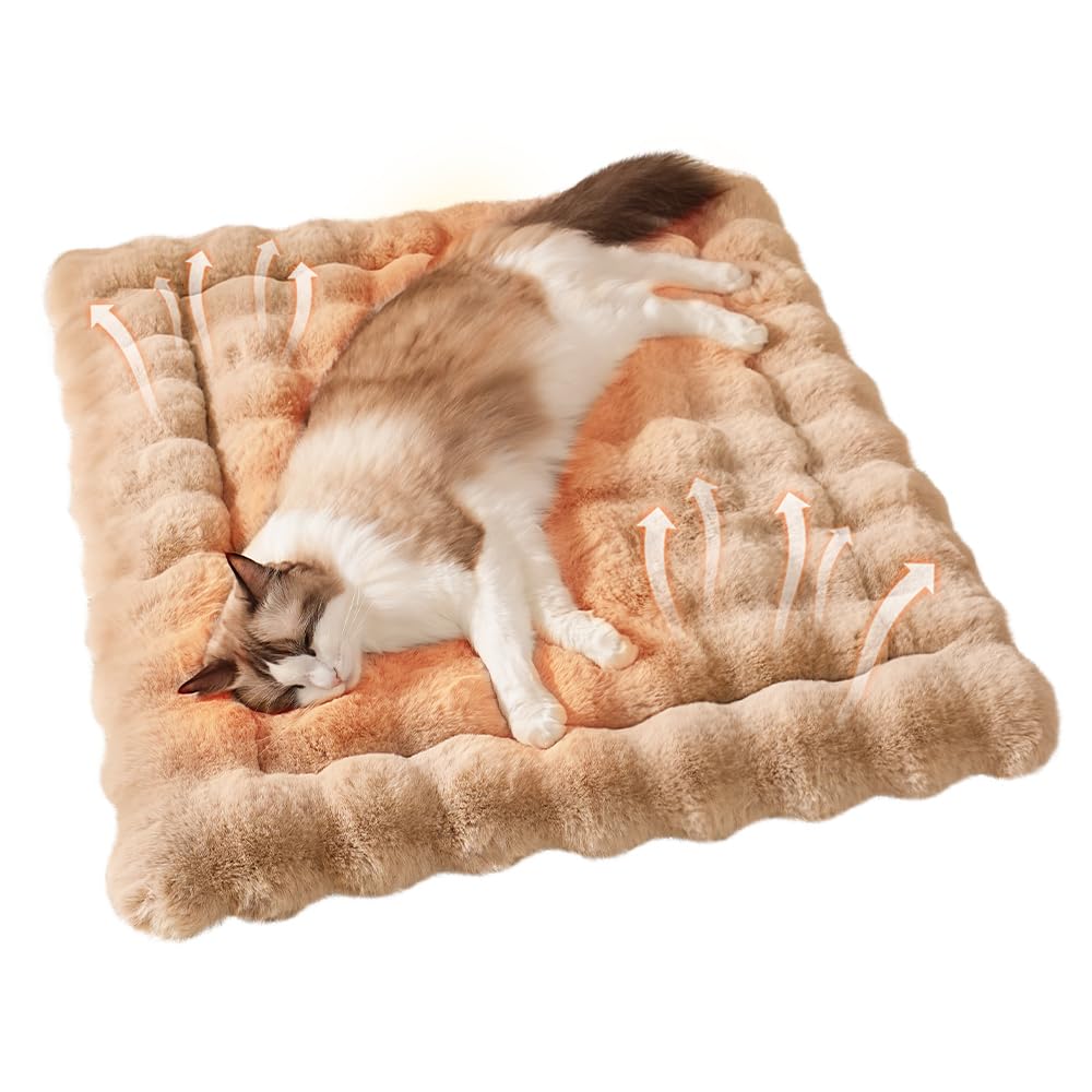 SOMAHE cama auto caliente para gato ofrece calor suave para dormir