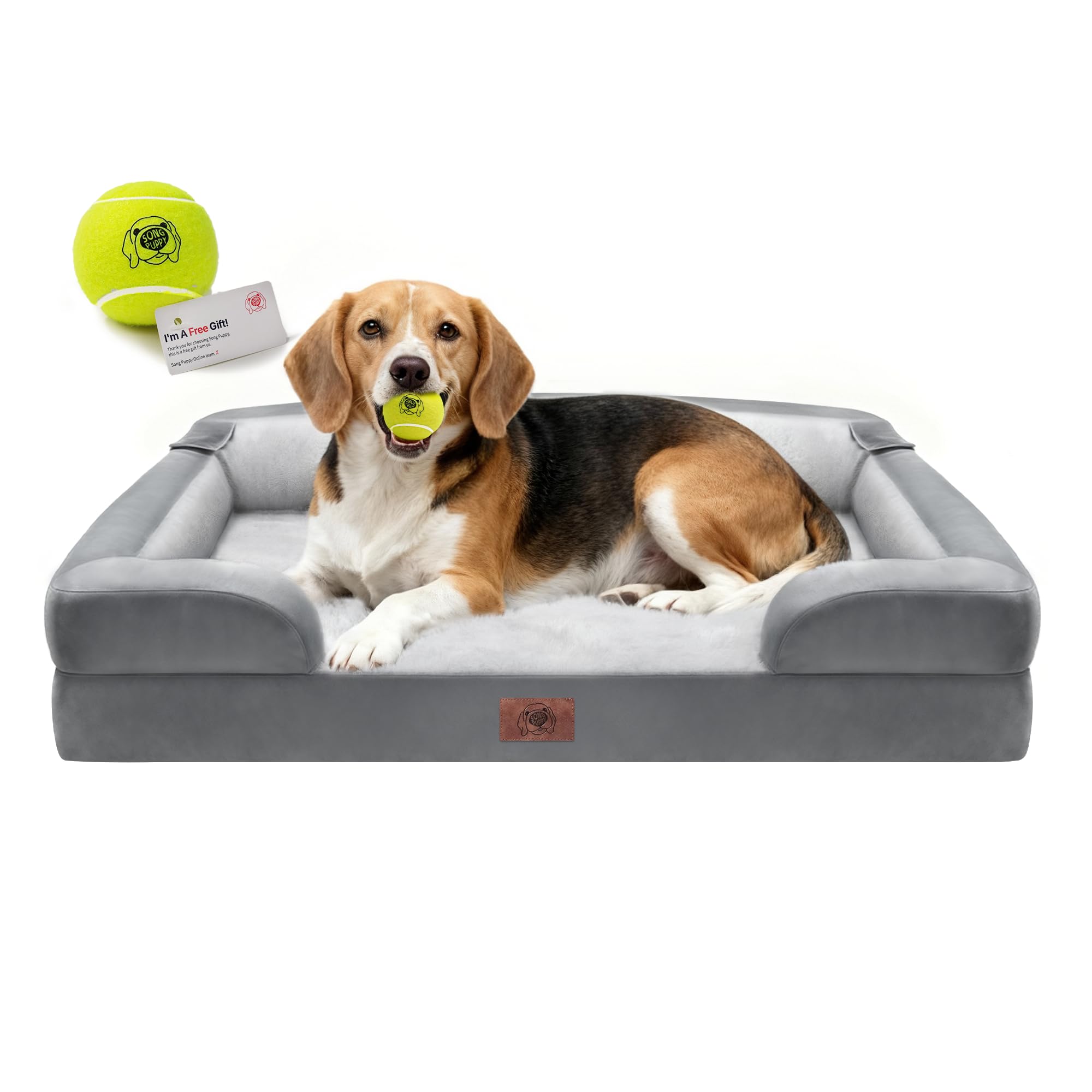 Cama ortopédica Song Puppy con espuma de memoria para perros grandes ofrece soporte de columna.