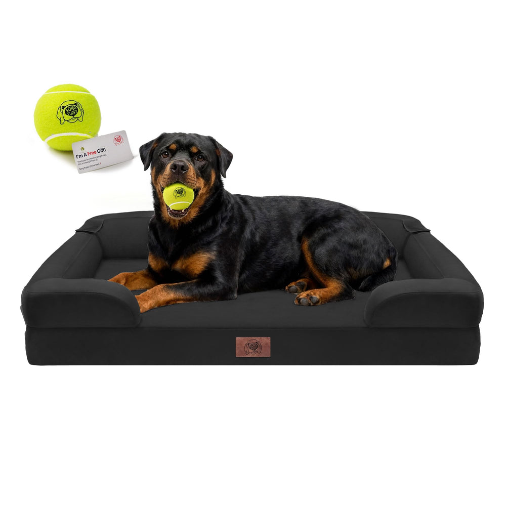 Song Puppy cama ortopédica XXL, vista frontal, soporte para articulaciones en descanso.