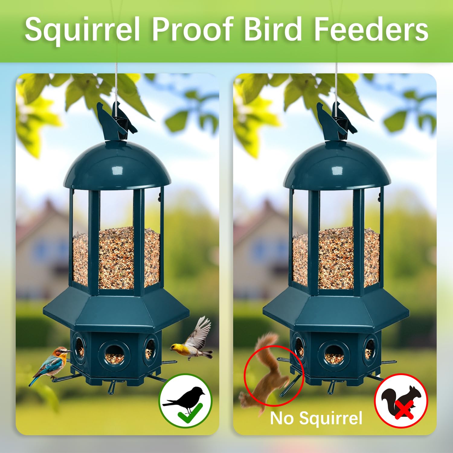 Sorflife comedero seis bocas permite alimentar varias aves a la vez.