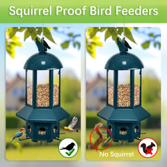Sorflife comedero seis bocas permite alimentar varias aves a la vez.