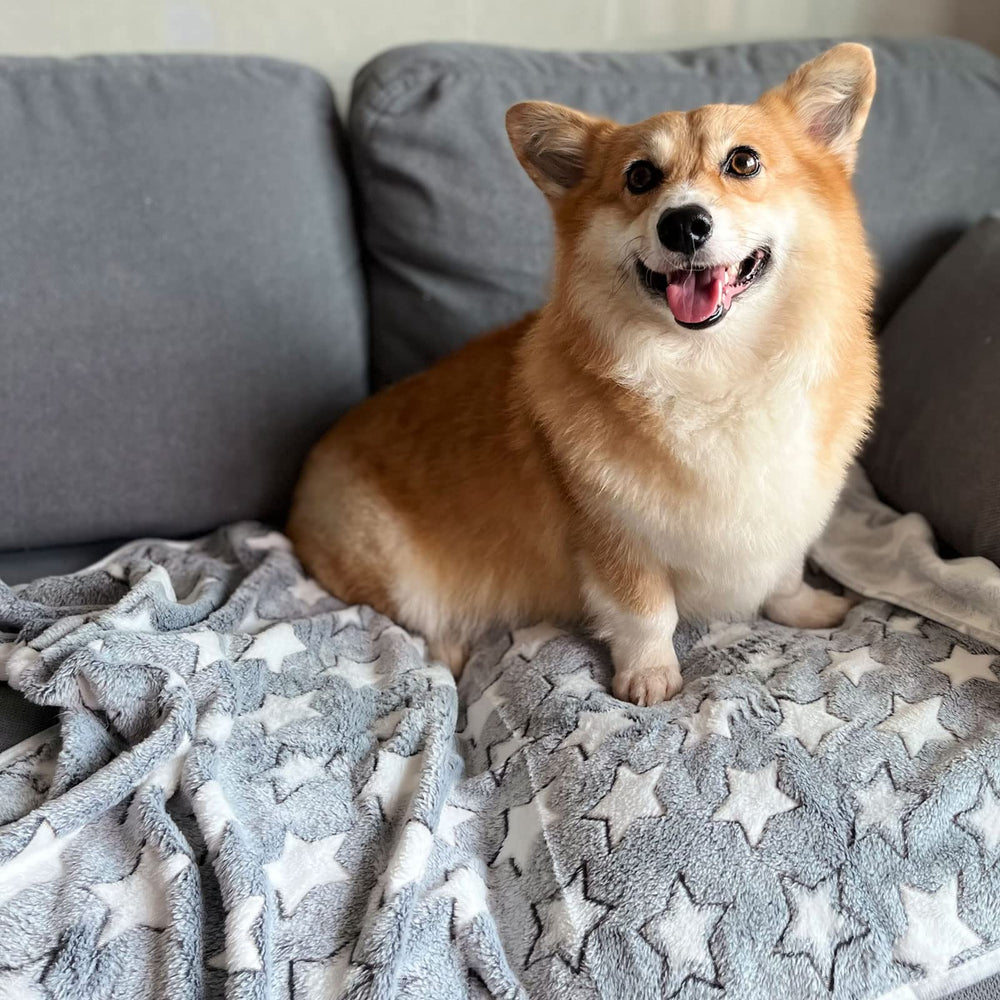 Protección para sofá con manta SORKUT, pelo y arañazos reducidos.