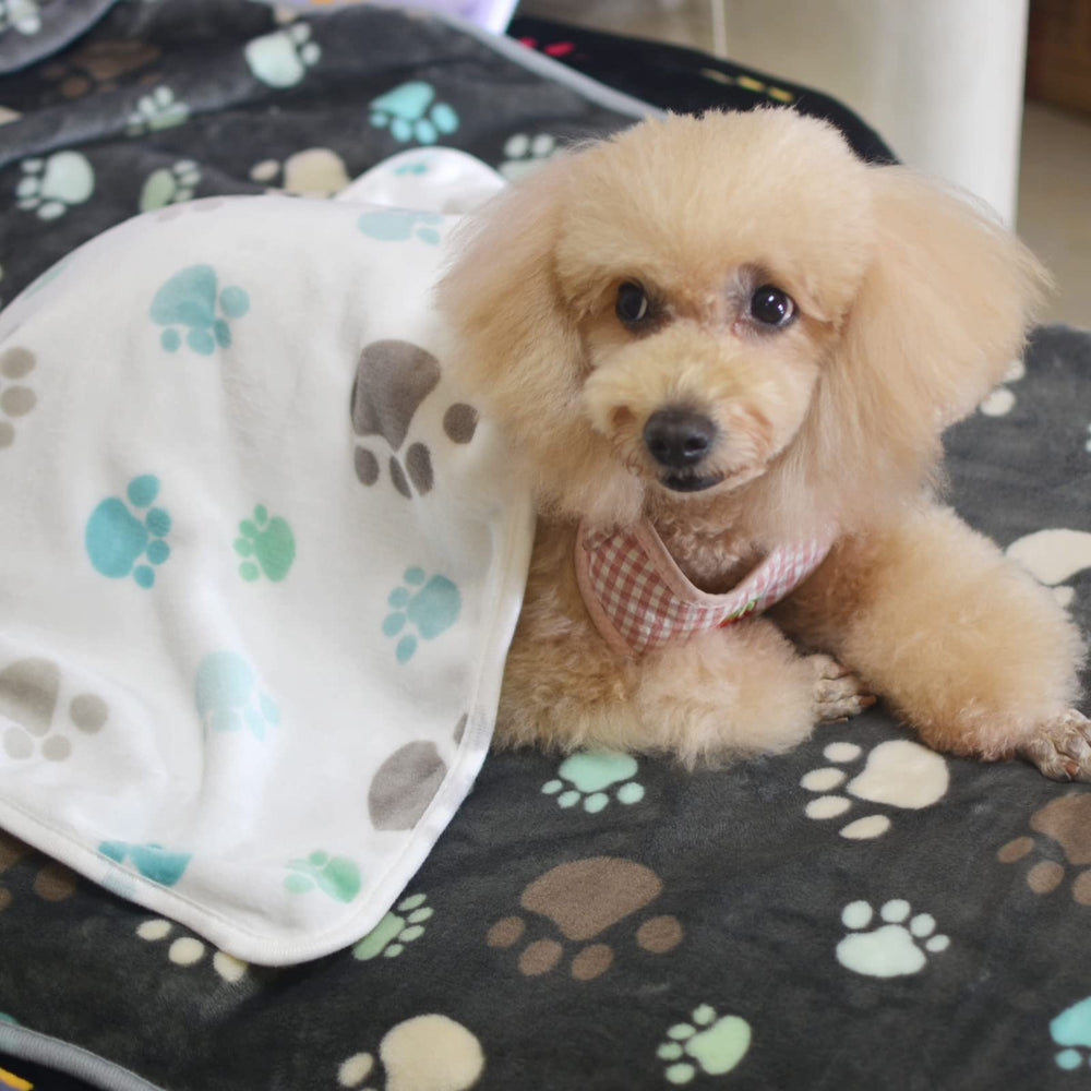 Manta SORKUT para cama de mascota, ideal dentro de transportín