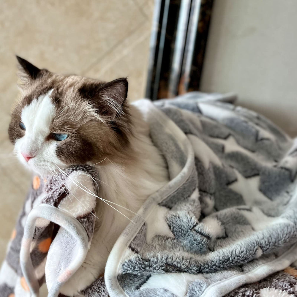 Uso diario de mascotas con manta SORKUT, suave y cálida.