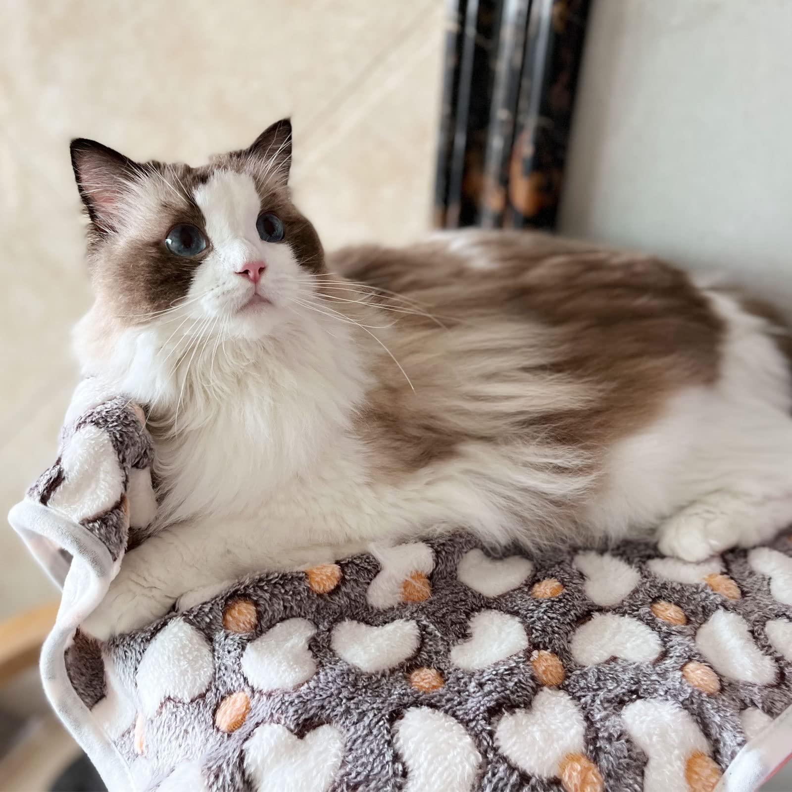 Manta SORKUT para perros pequeños y gatos, versátil en casa
