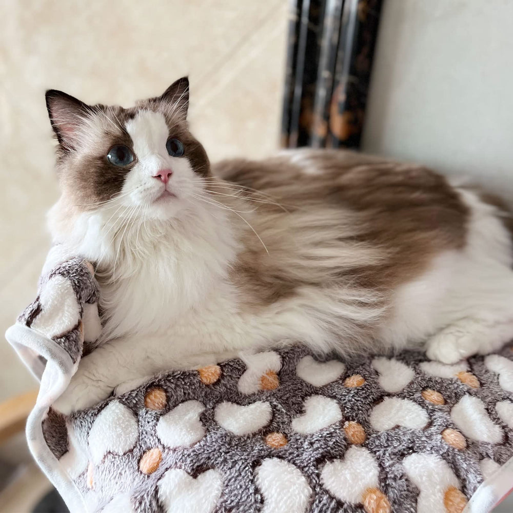 Manta SORKUT para perros pequeños y gatos, versátil en casa