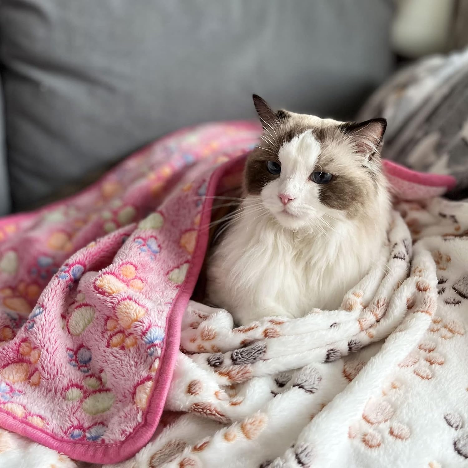 SORKUT manta con huellas blancas: diseño tierno para mascotas.