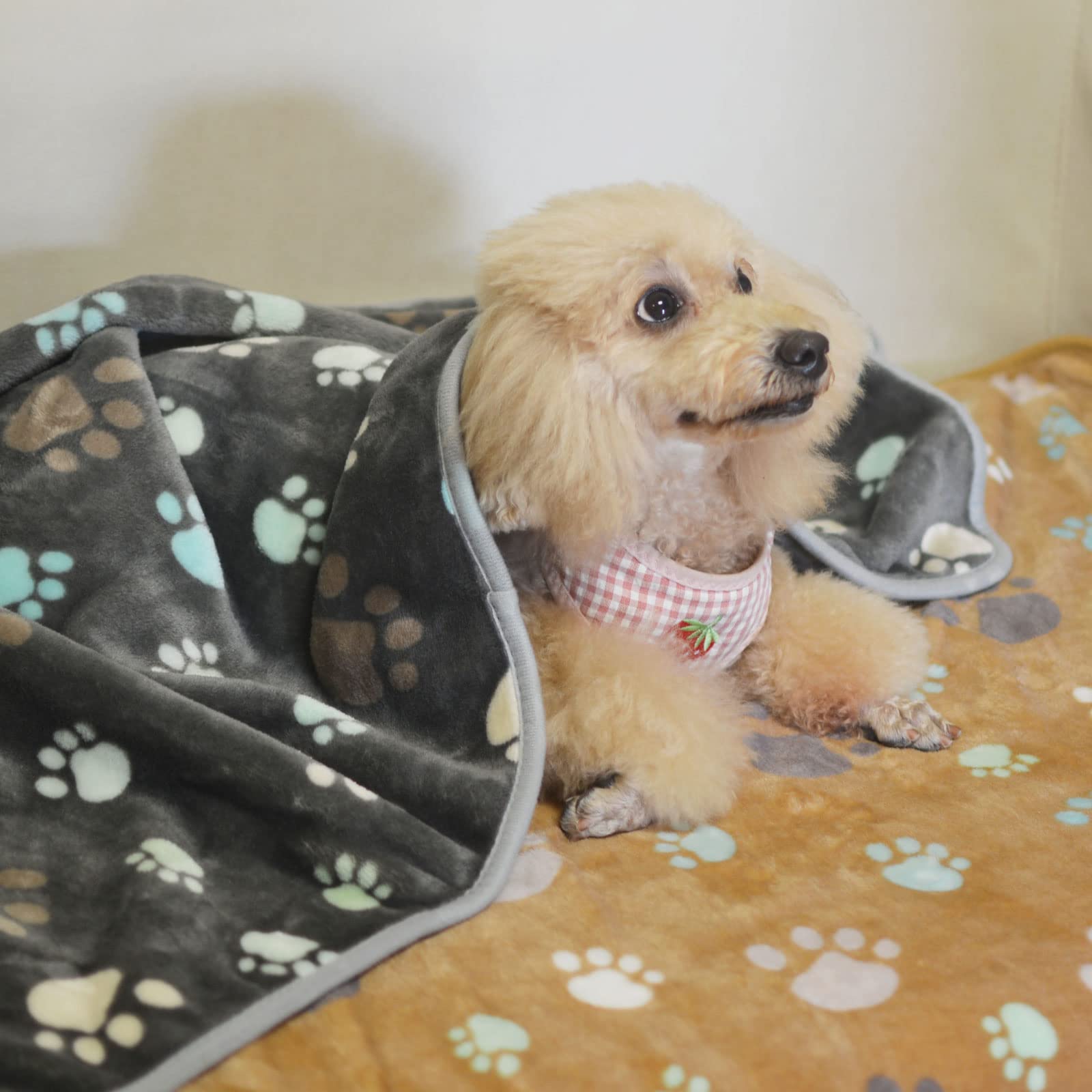 Uso versátil para sofá, cama o transportín con manta SORKUT.