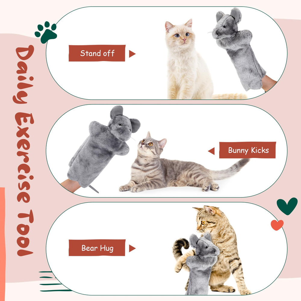 Sosation juego interactivo para gato en casa, estimulación mental.