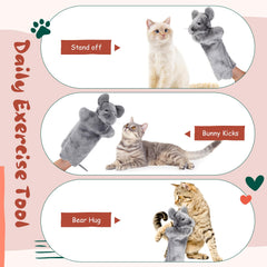 Sosation juego interactivo para gato en casa, estimulación mental.