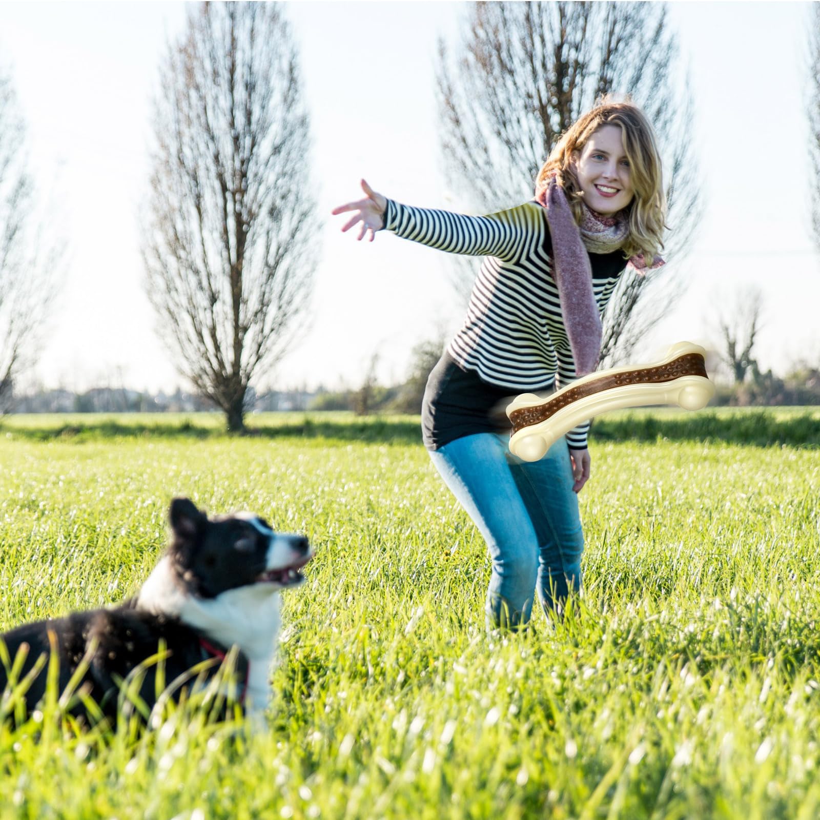 Sosation: juguete para dientes y ansiedad, mantiene entretenido al perro.