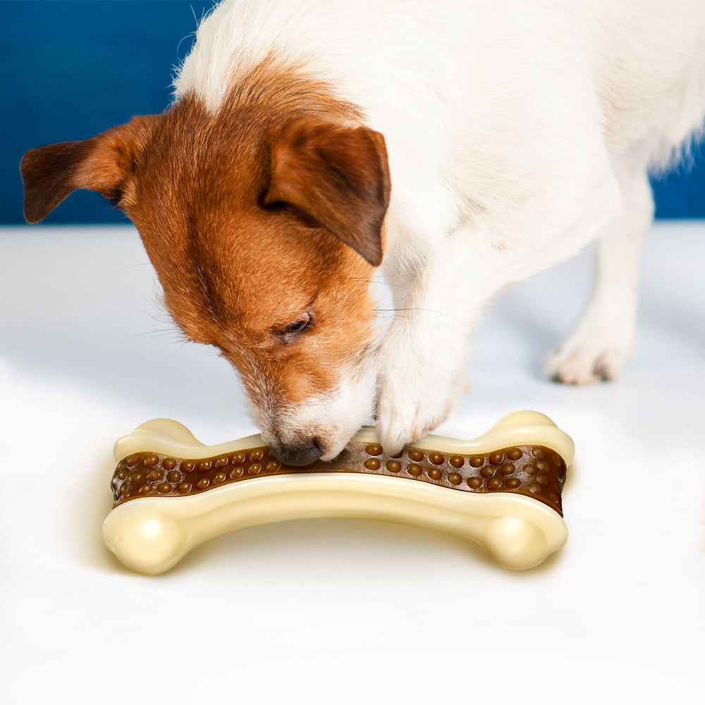 Regalo navideño para perros con Sosation.