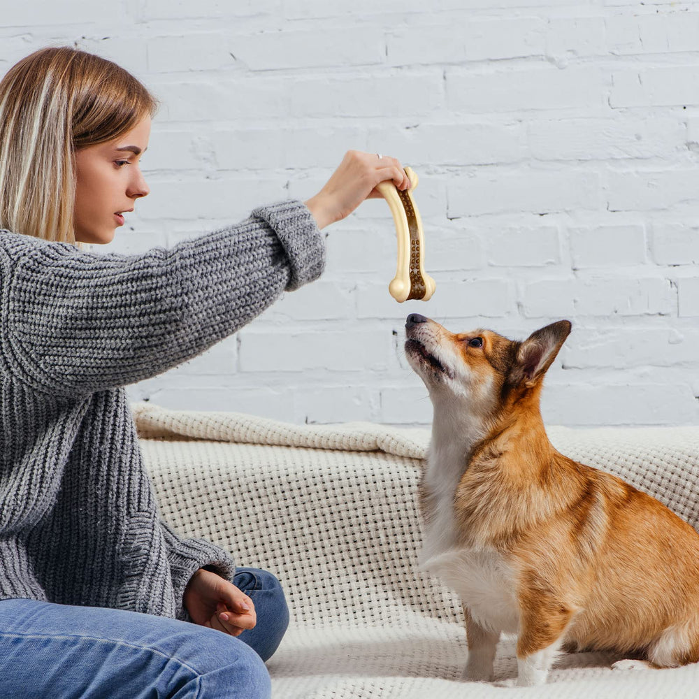 Uso diario seguro con Sosation para entretener a tu perro.