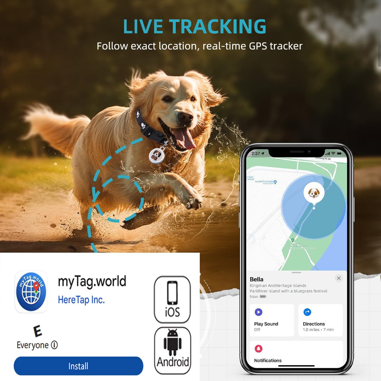 Mapa en la app que muestra la ruta del perro