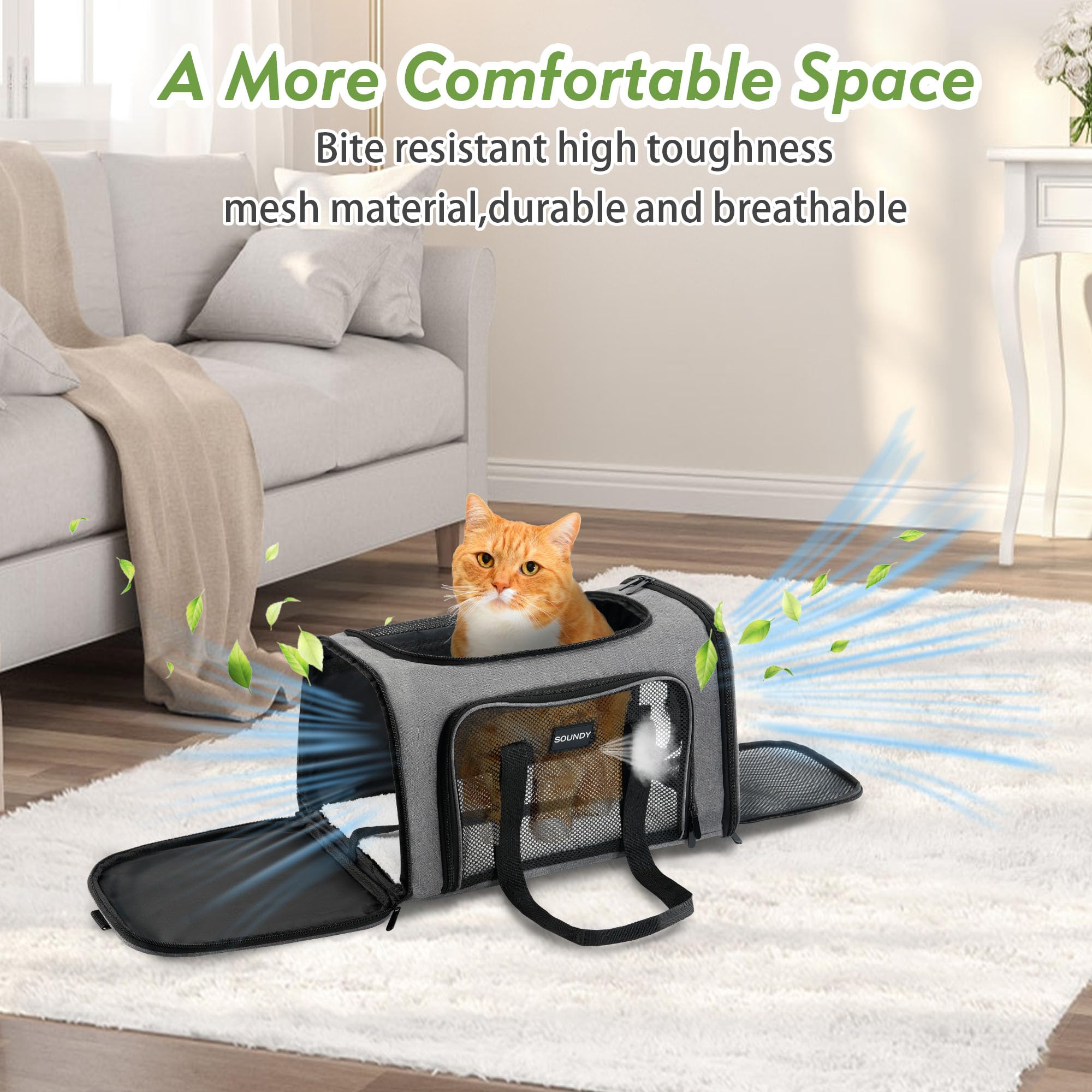 Soundy transporte doble para dos gatitos o perro pequeño.