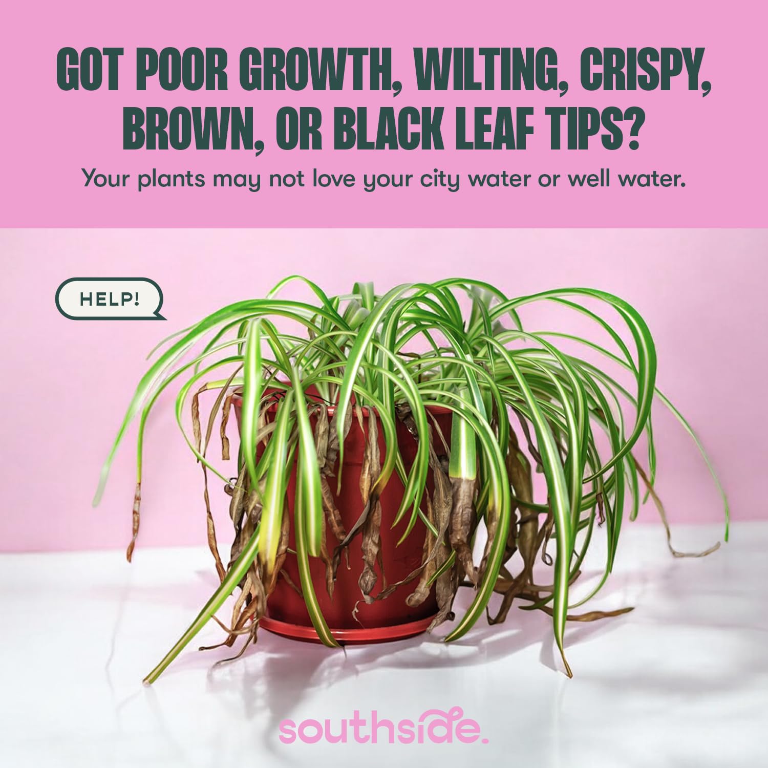 Southside Plants Ajuste de pH del agua para plantas sanas