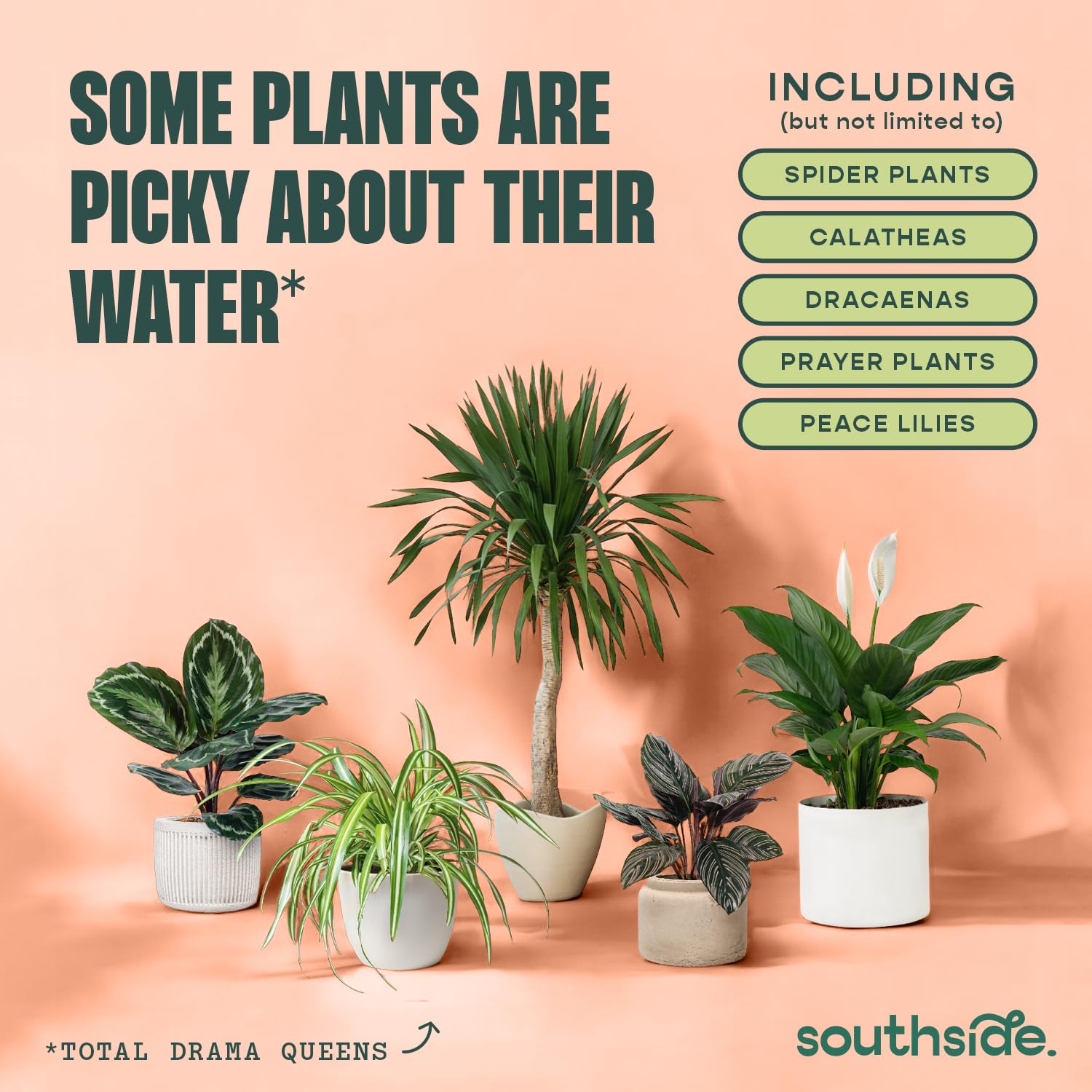 Southside Plants Elimina cloro y cloraminas para riego seguro