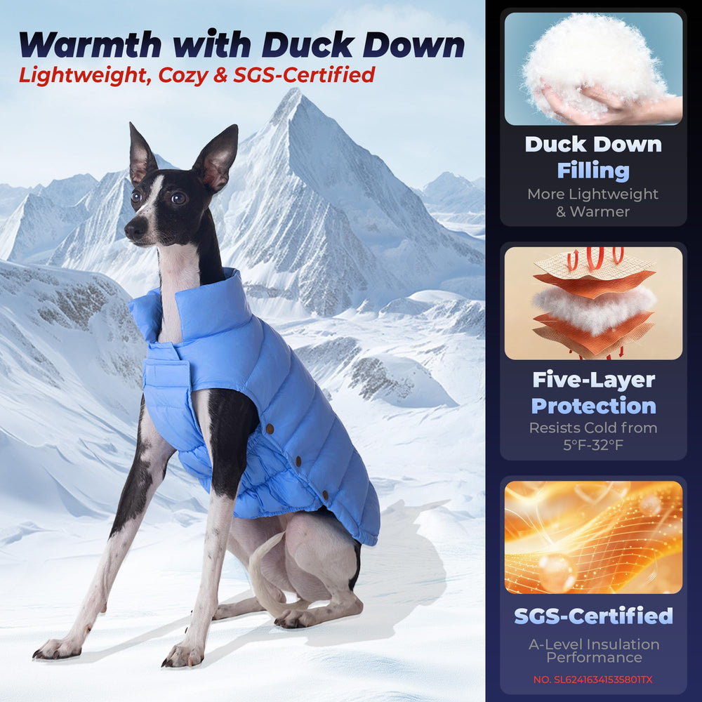 SPACE LION chaqueta puffer azul para perro, ajuste cómodo en frío.