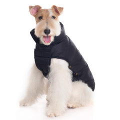 Space Lion chaleco perro invierno frente: mantiene cálido durante paseos fríos