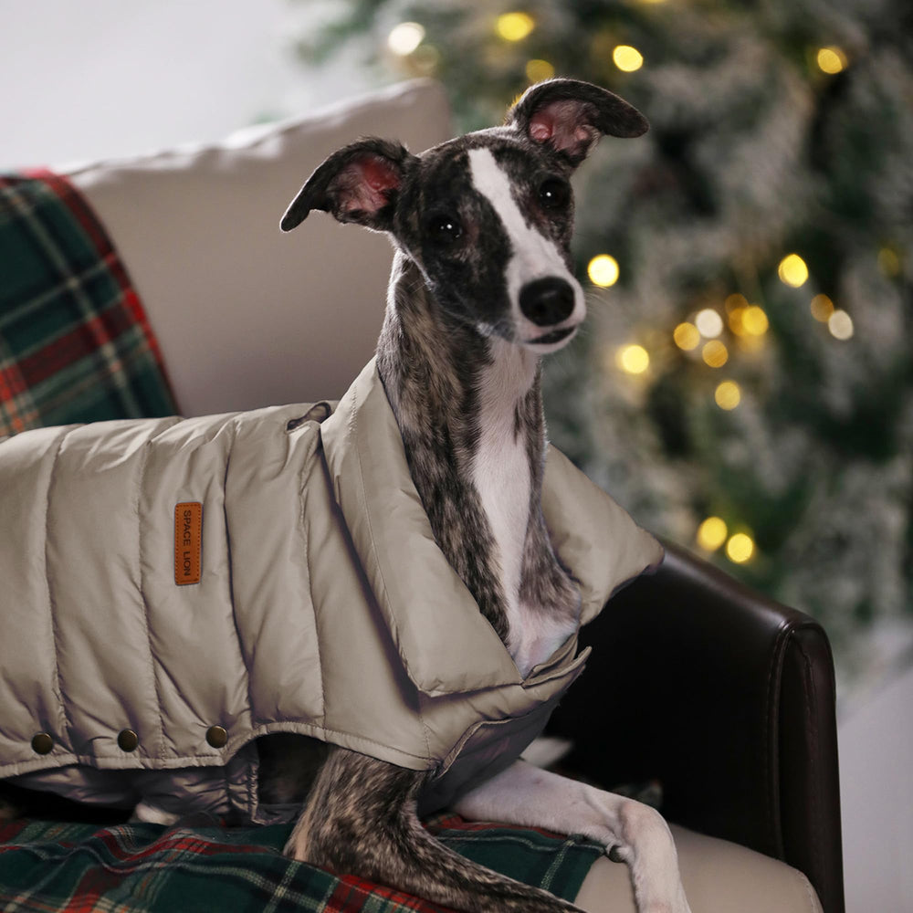 SPACE LION chaqueta acolchada perro-ajuste-cierres facilita un ajuste personalizado