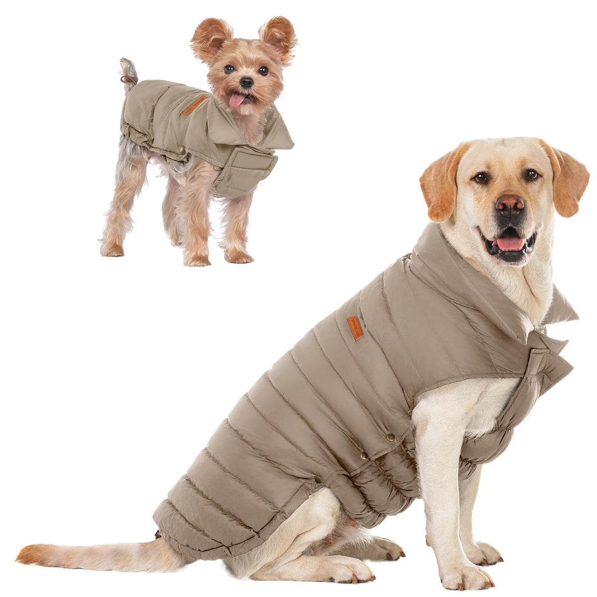 SPACE LION chaqueta acolchada perro-frente: calor ligero para paseos en frío