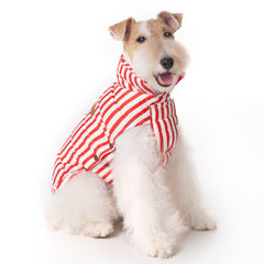 Space Lion chaqueta acolchada para perro rojo, vista frontal, ideal para paseos invernales.