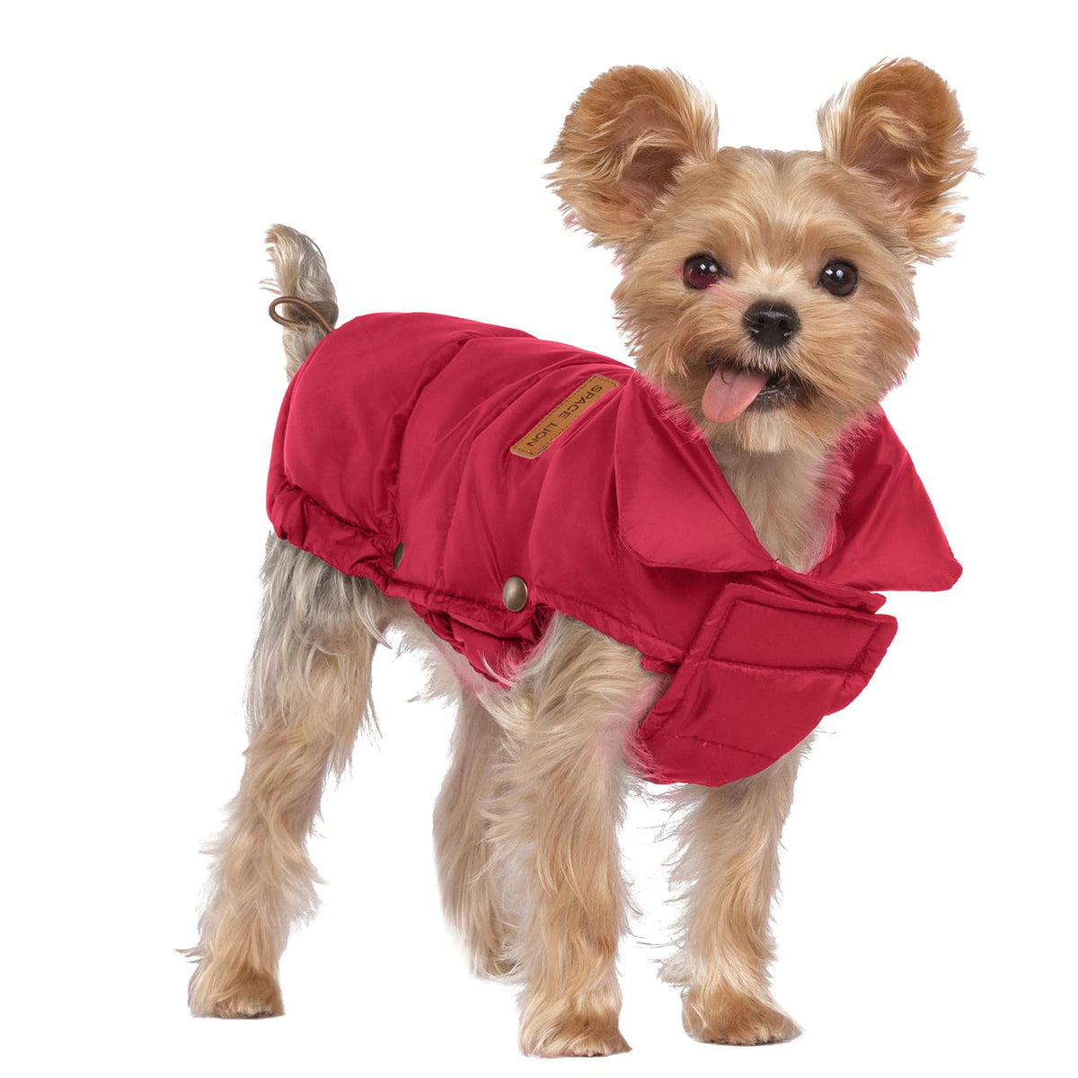 SPACE LION Chaqueta acolchada para perro, vista frontal, abrigando durante paseos fríos