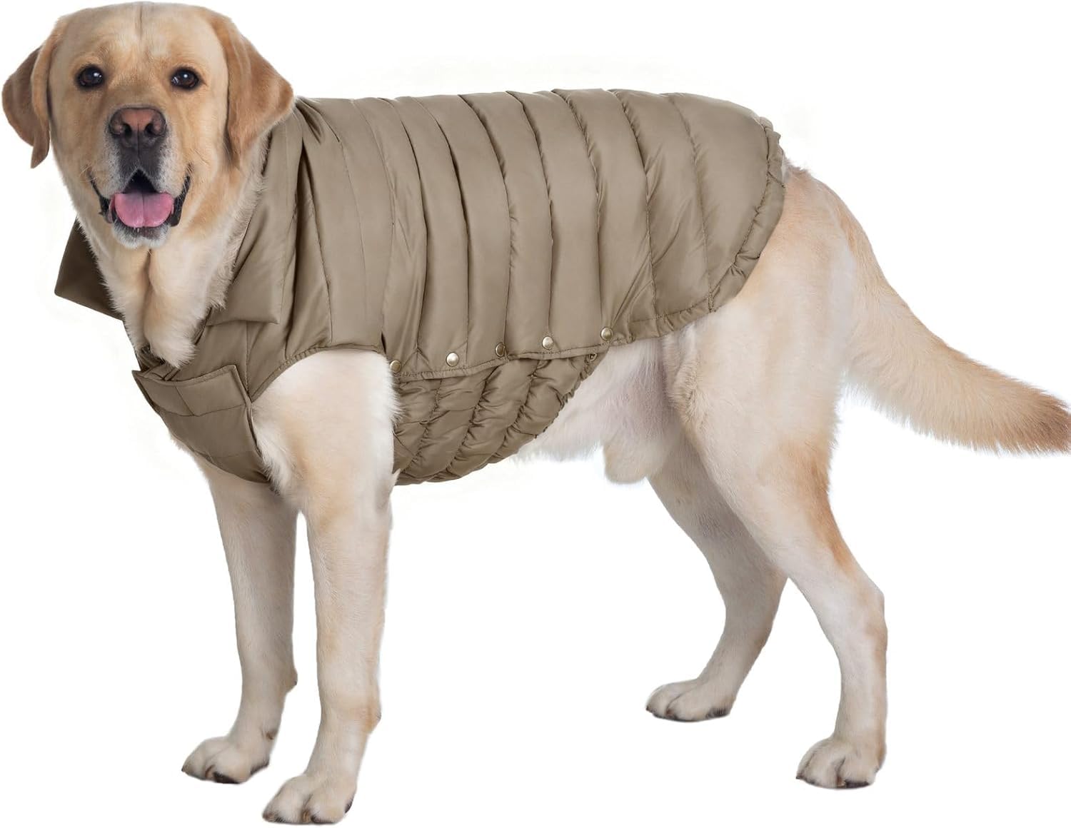 SPACE LION chaqueta-perro-invierno para paseos fríos y libertad de movimiento