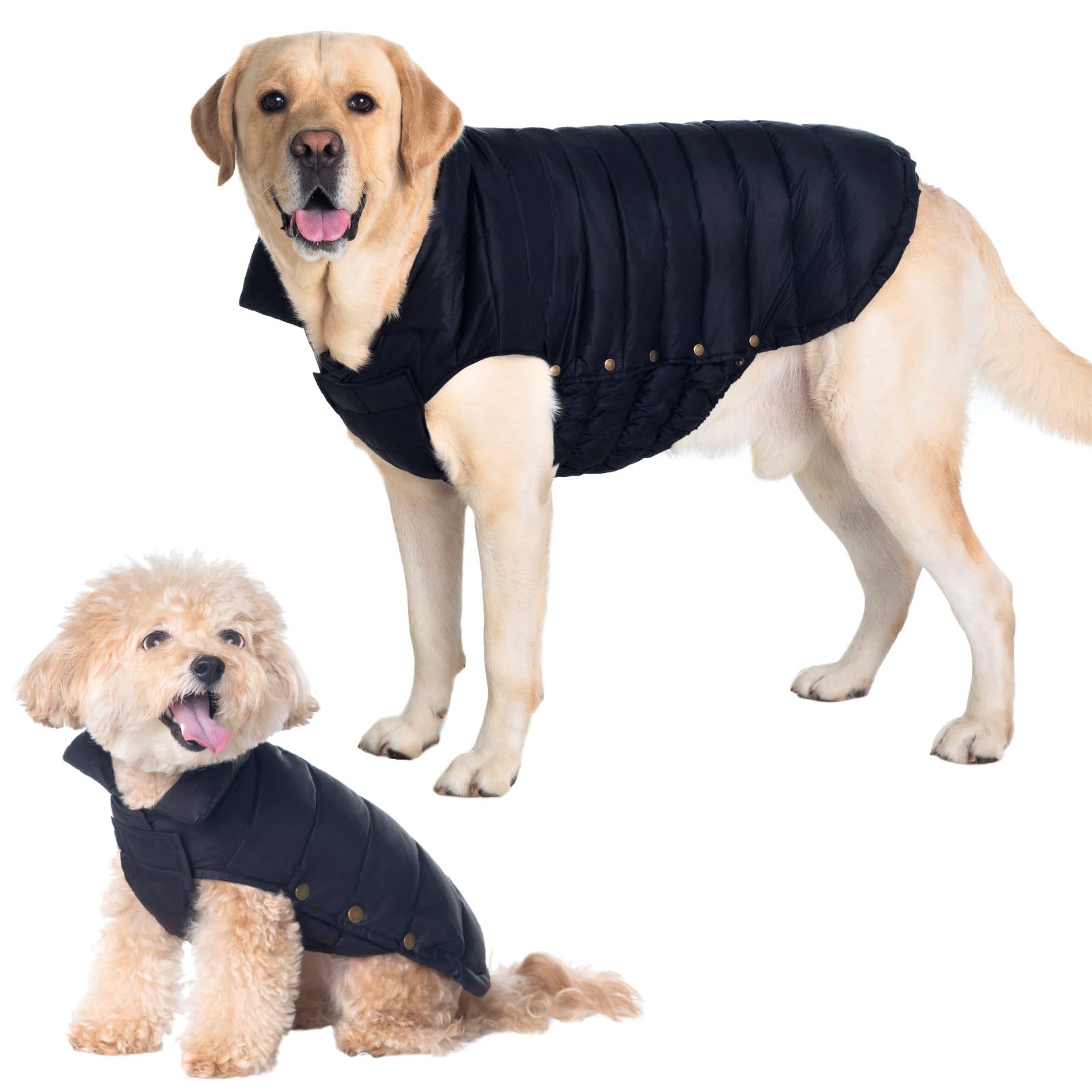 SPACE LION chaqueta para perros plumón frontal, cálida para paseos.
