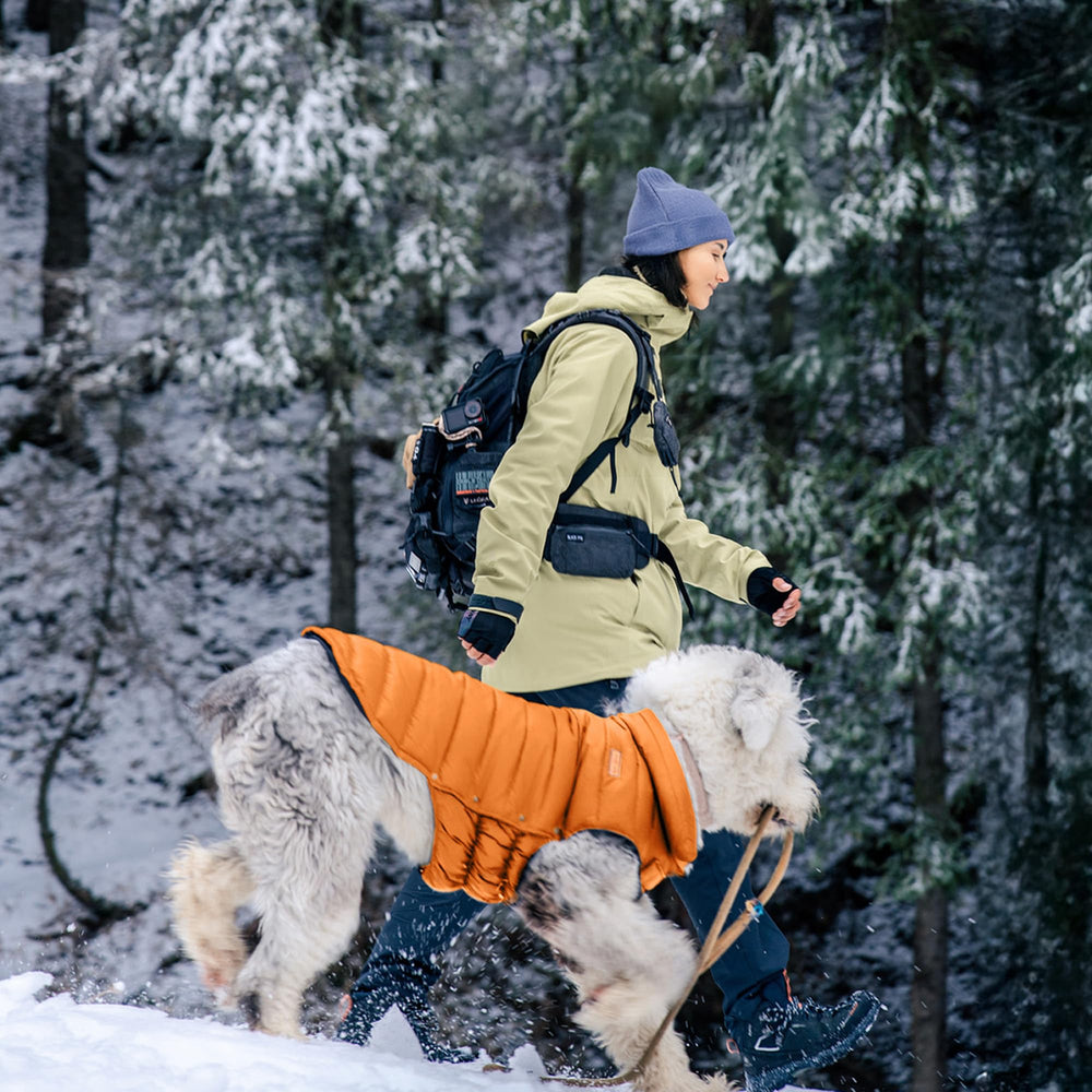 Space Lion chaqueta puffer para perro, color naranja para mayor visibilidad