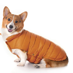 Space Lion chaqueta puffer para perro, frontal, ideal para paseos cálidos