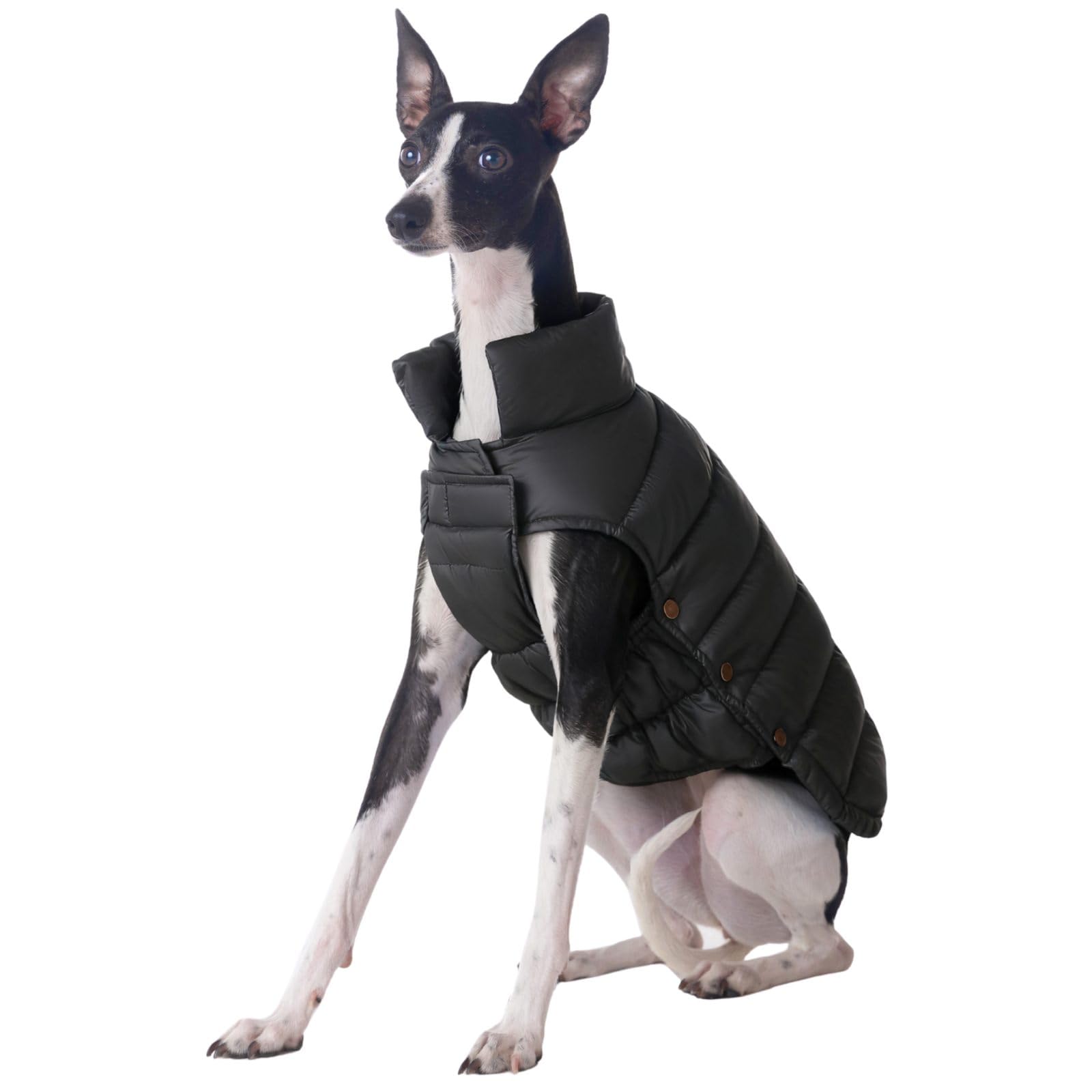 SPACE LION chaqueta puffer vista frontal negro, mantiene al perro abrigado durante paseos fríos.