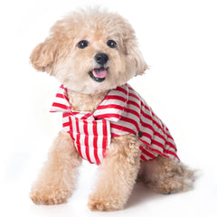 SPACE LION chaqueta puffer para perro, vista frontal, perfecta para paseos en climas fríos.