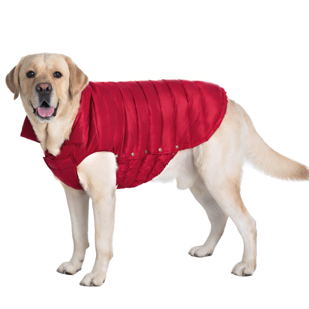 SPACE LION chaqueta puffer para perro, vista frontal, calor ligero