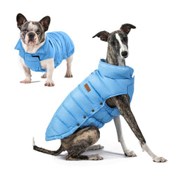 Space Lion chaqueta puffer para perro, vista frontal, mantiene calor cómodo durante paseos.
