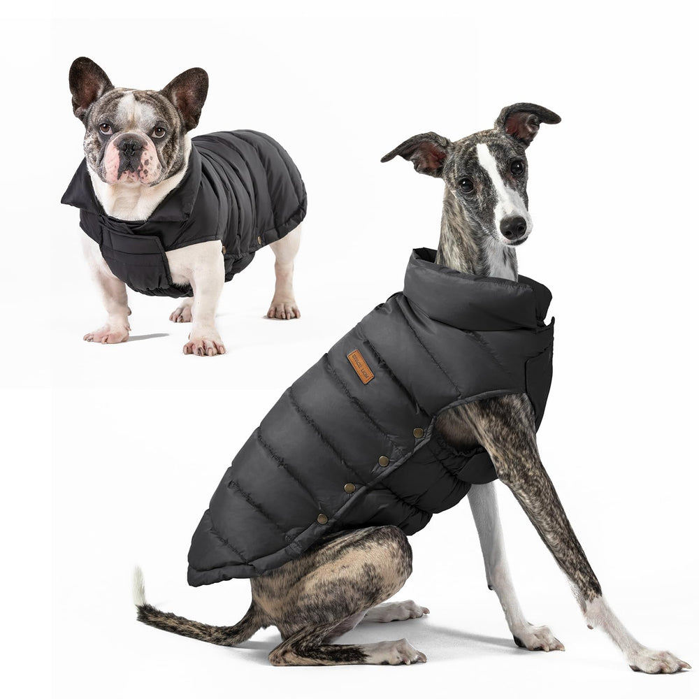 Space Lion chaqueta puffer para perro, vista frontal, mantiene al perro abrigado durante paseos.