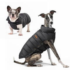 Space Lion chaqueta puffer para perro, vista frontal, mantiene al perro abrigado durante paseos.