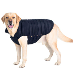 Space LION chaqueta puffer para perro, vista frontal, calidez y protección para paseos.