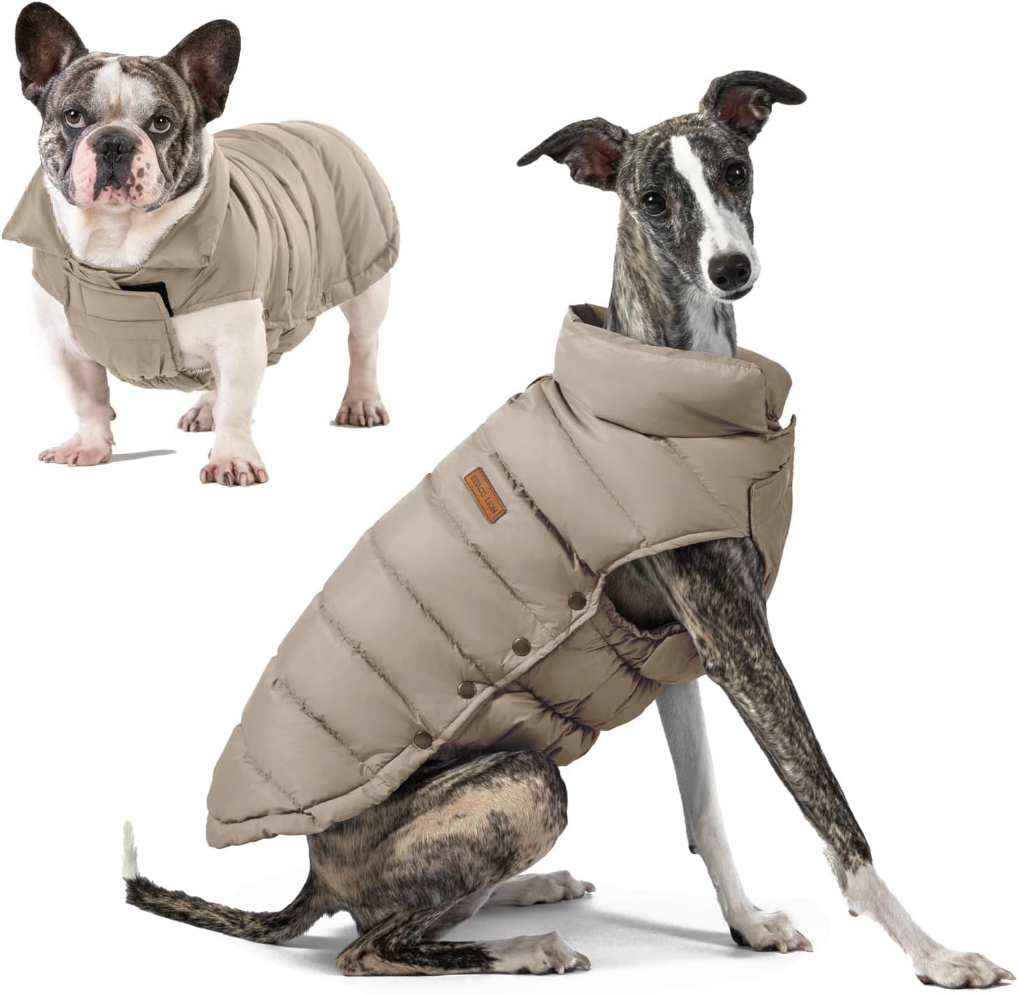 Space Lion Dog Puffer Jacket frente: mantiene al perro cálido y cómodo durante paseos.