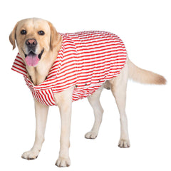 Space Lion dog puffer jacket front view shows lightweight warmth for chilly walks